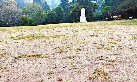 Botanical Garden reels under acute water crisis