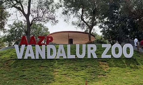Arignar Anna Zoological Park 