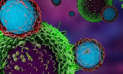 Representative Image (IANS)