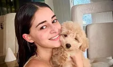 'Madly obsessed' Ananya Panday drops picture of her 'baby jaan' Riot
