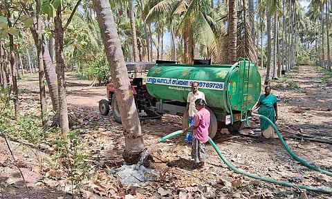 Pollachi farmers using water tankers to irrigate coconut trees