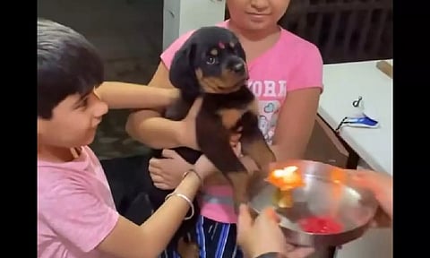 Indian family welcoming puppy with 'Aarti' (Screengrab) 