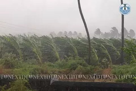 Banana trees were destroyed following strong winds (Photo: V Kalyanasundaram)