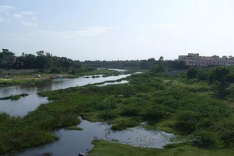 Adyar Estuary (File photo)