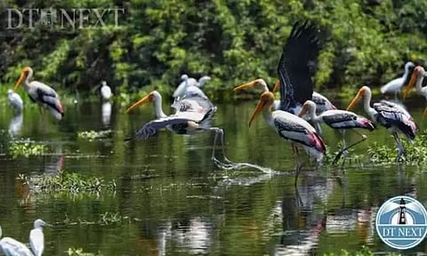  Representative Image (File Photo) 