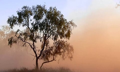 Representative Image (ANI)