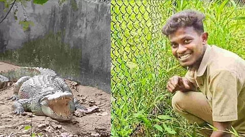 Crocodile; Vijay (23)