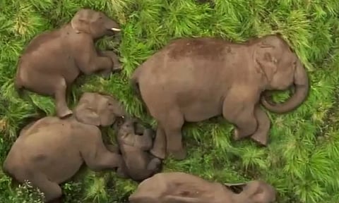 Screenshot from the Video