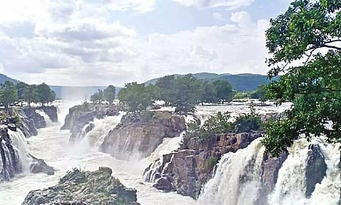 Water inflow to Hogenakkal surges following rains