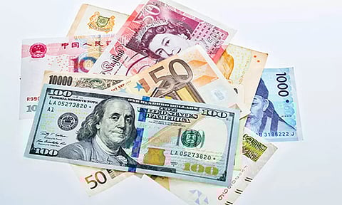 A basket of currencies (Image : ANI)