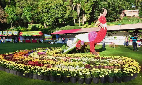 A floral display at Bryant Park in Kodaikanal on Sunday 