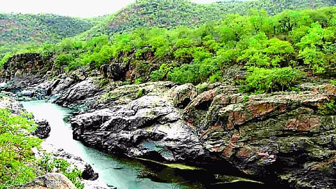 A view of Cauvery river in Karanataka (file photo)