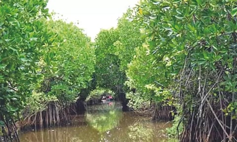 Representative Image