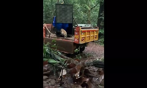 Screengrab from the video (X)