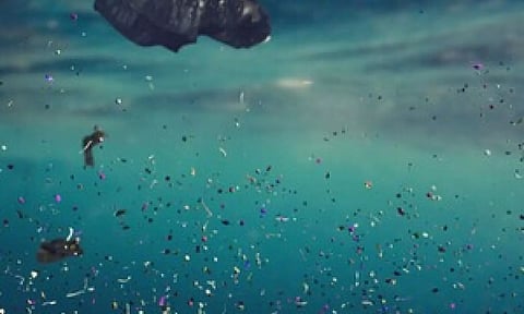 Representative Image (Image Credit: IANS)