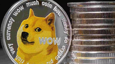  Popular Japanese dog Kabosu