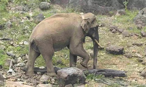 Representative Image (File Photo)