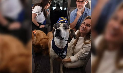 BARK Air's inaugural flight in May (Instagram/@barkair)