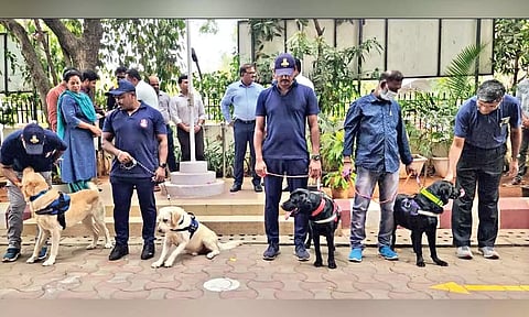 Snowboy and Rakesh (black) are the new addition to the sniffer squad at the Chennai airport