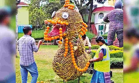 Staff removing exhibits from Coonor park 