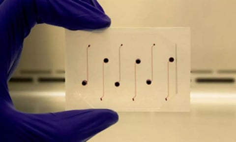 Representative Image (IANS)