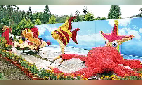 File picture of floral exhibits at Yercaud
