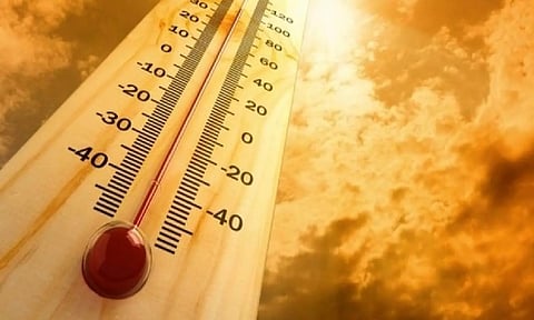 Representative Image (ANI)