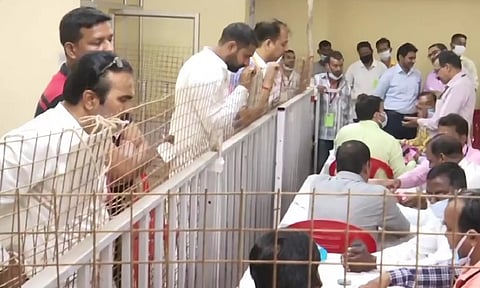 Representative Image (ANI)