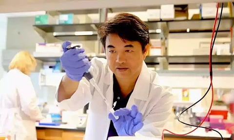 Representative Image (ANI)