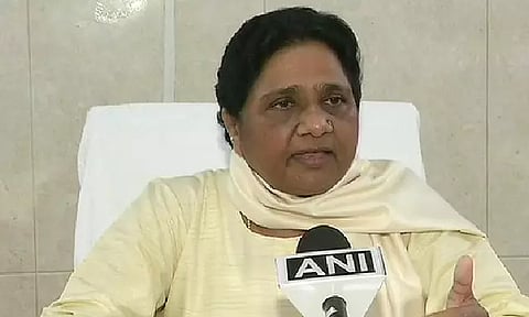 Mayawati (Photo/ANI)