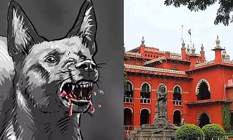 Illustration of Dog Bite; Madras High Court 