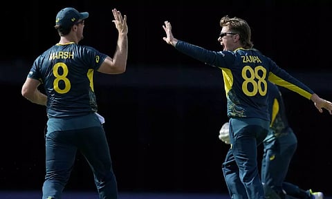 Adam Zampa celebrates after a wicket (AP)