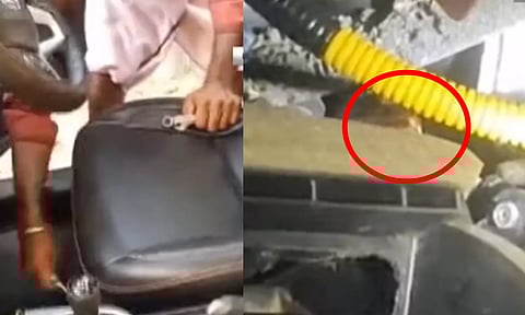 Snake found a car in Mayiladuthurai (Thanthi TV)