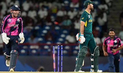 Glenn Maxwell getting dismissed by Mark Watt (PTI)