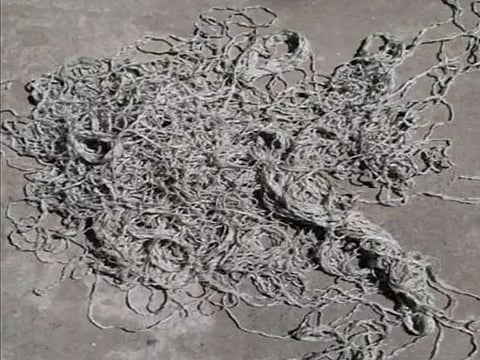 Visual from the spot