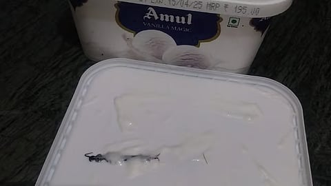 Centipede inside ice cream tub (Screengrab)