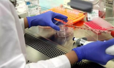 Representative Image (IANS)