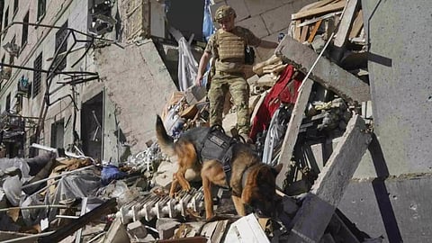 A rescue worker with a dog search for victims in a damaged apartment building after it was hit by Russian air bomb in Kharkiv, Ukraine (Photo/AP)