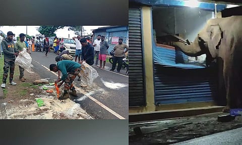 Rice and food items spilled over on the road, A makhna elephant consuming food items from the shop 
