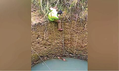 A fireman making efforts to rescue the jackal