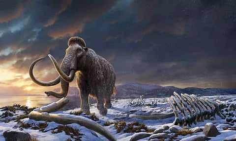 Representative Image