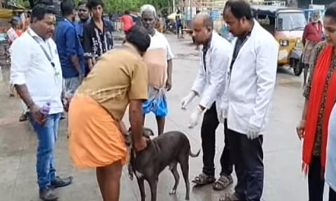 Dog getting free rabies vaccination (Photo: Thanthi TV)