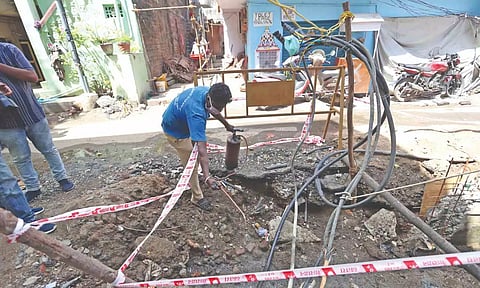 Corporation worker conduct domestic breeding checks