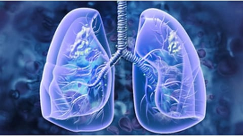 Representative Image (IANS)