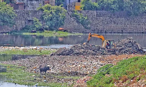 Cooum River (Photos: Justin George, Hemanathan M)