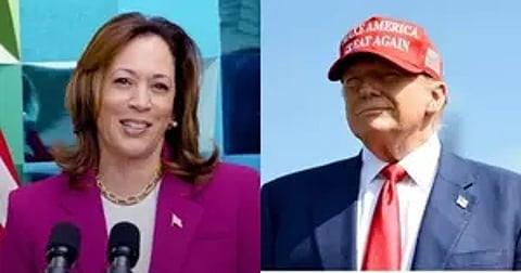  Kamala Harris and Donald Trump