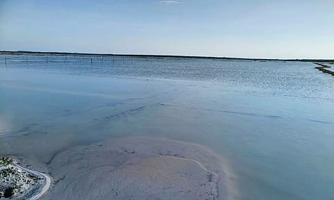 Rain Water Stagnant in the Marakkanam Salt Pans (Daily Thanthi)