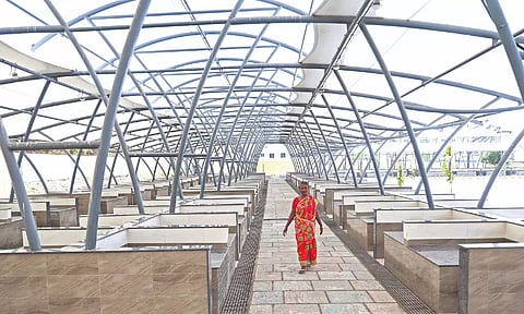 A fisherwoman at the new market opened on Loop Road on Monday
