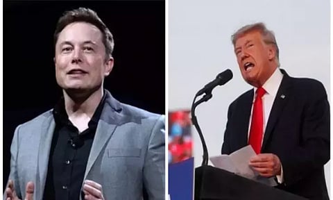 Elon Musk, Donald Trump