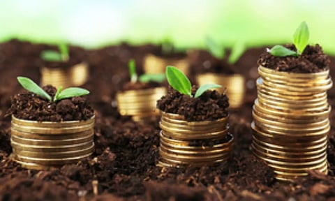 Representative Image (IANS)